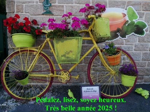 Voeux 2025-Biblio-Cycles.jpg